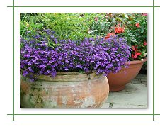  Open Gardens 