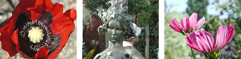  Open Gardens in a Leicestershire village 