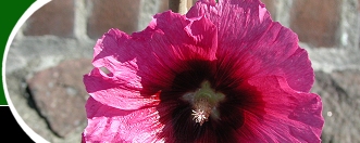 Open Gardens image 
