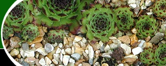  Open Gardens image 
