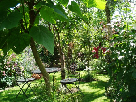 Belper Open Gardens
