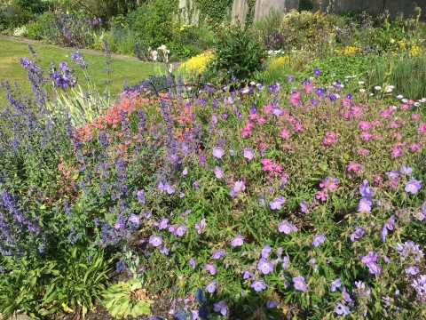 Little Horwood Open Gardens