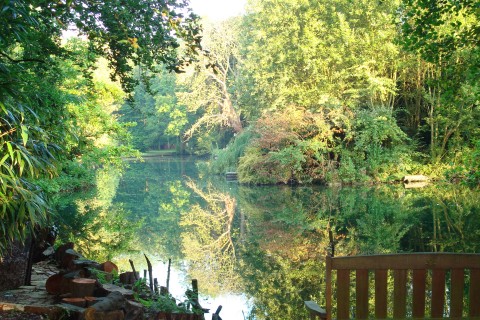 North Stoke Open Gardens