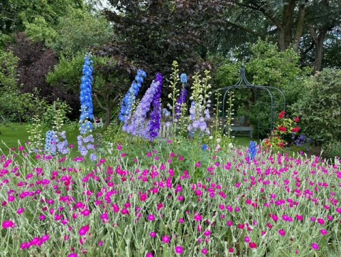Totley Open Gardens
