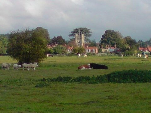 Hambleden Open Gardens