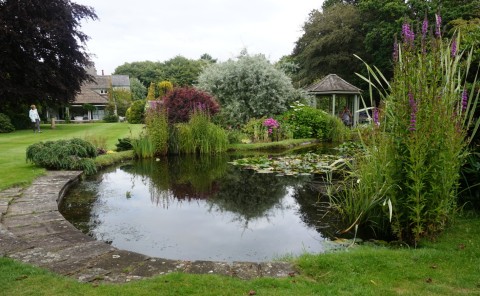Ainsdale Open Gardens