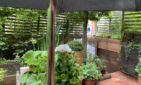 Bedminster Secret Gardens