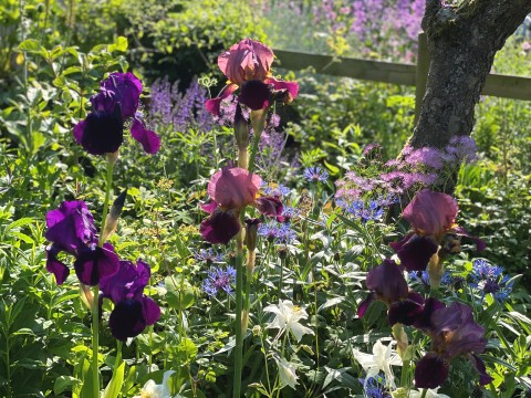 Edgefield Open Gardens