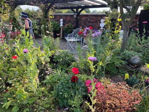 Kings Bromley Open Gardens