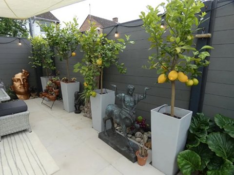 Godmanchester Open Gardens