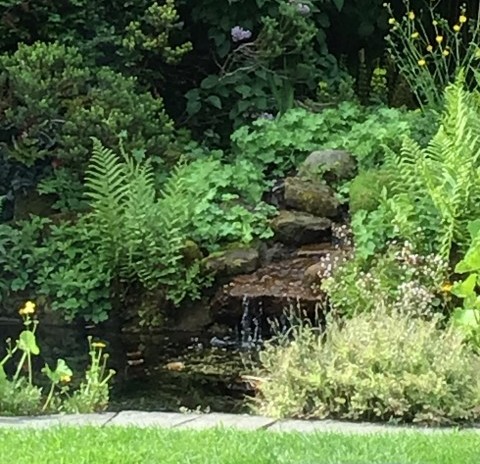 Alrewas Open Gardens Weekend