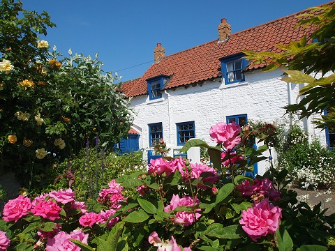 Brompton-by-Sawdon Open Gardens
