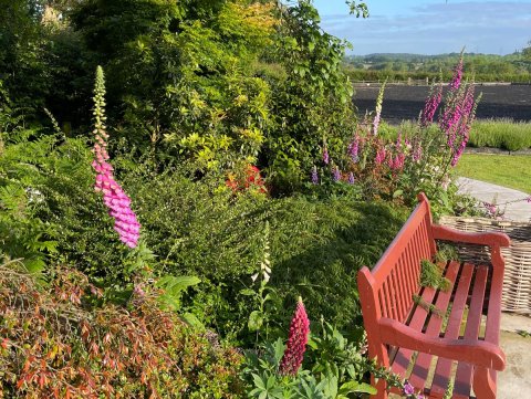 Yoxall Open Gardens