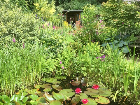 Stanton in Peak Open Gardens