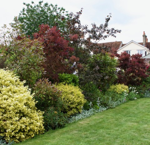 Coggeshall Open Gardens
