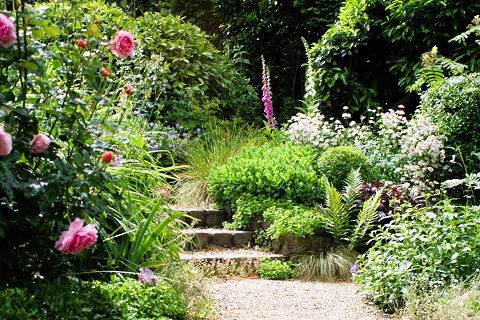 Montgomery up the Garden Path