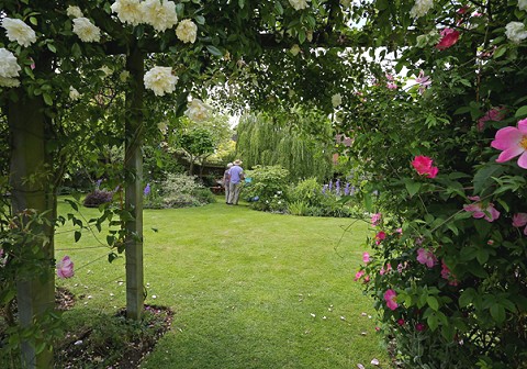 Old Newton Open Gardens