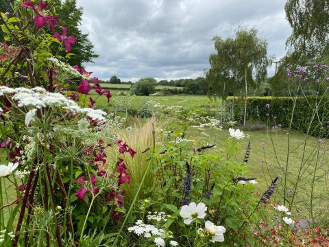 Stoke Holy Cross Open Gardens