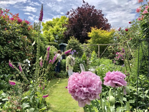 Petworth Secret Gardens Trail