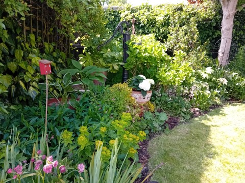 Leighton Buzzard Open Gardens