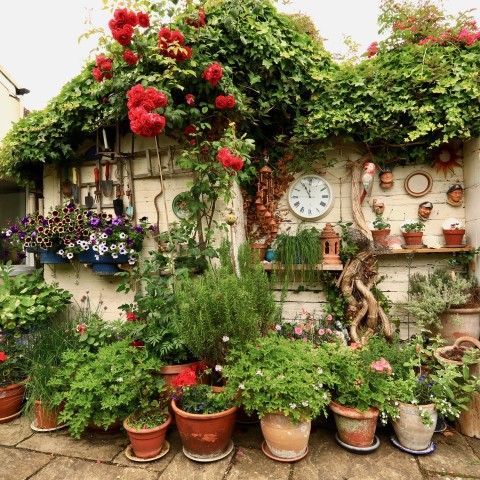 Woodford Open Gardens