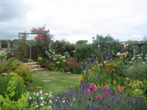 Titchmarsh Open Gardens