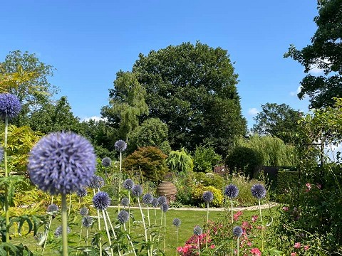 Great Ouseburn Open Gardens