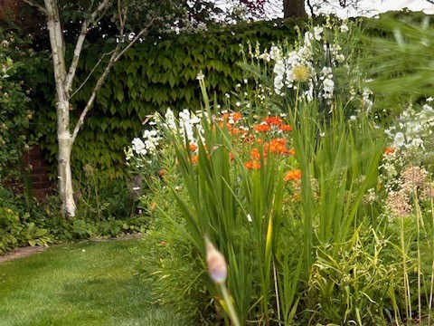 Harborough Magna Open Gardens