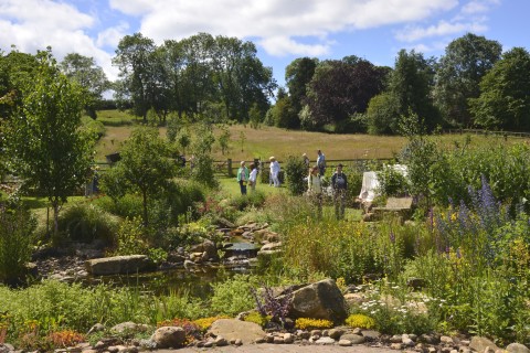 Mickley Open Gardens