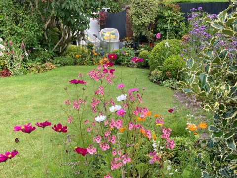 Ystradgynlais Open Gardens
