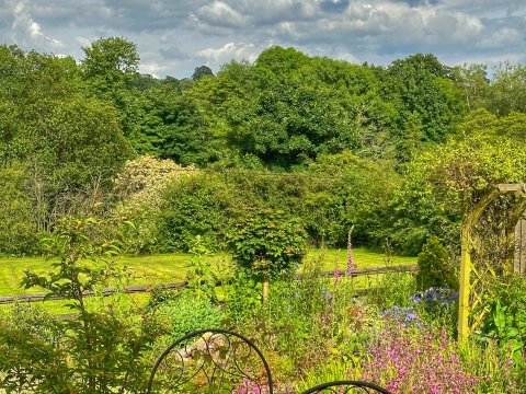 Idridgehay Open Gardens