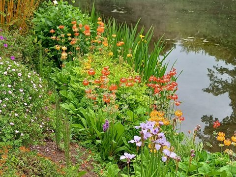 Cotheridge Open Gardens