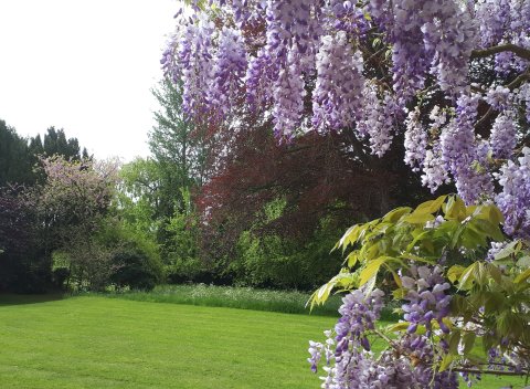 Geldeston Open Gardens