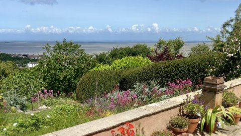 Watchet Open Gardens Weekend