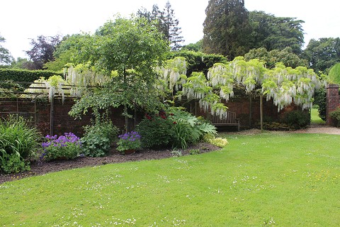 Netherbury Open Gardens