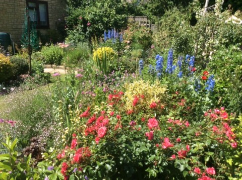 Shilton Open Gardens