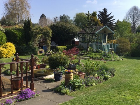 Frampton on Severn Open Gardens