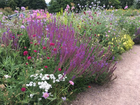 Leintwardine Open Gardens