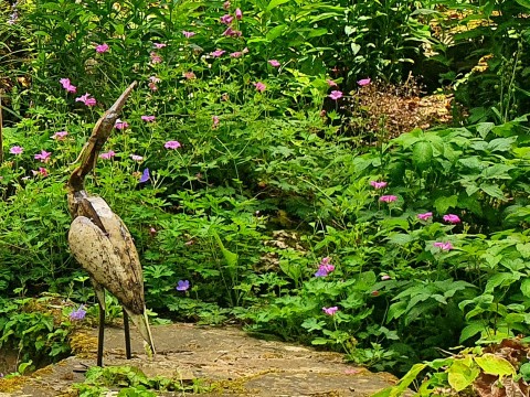 Henfield Open Gardens and Arts