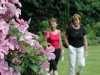  Open Gardens image 