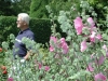  Open Gardens image 