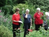  Open Gardens image 
